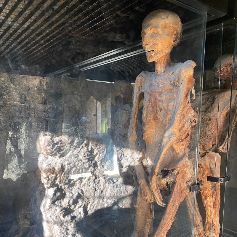museo delle mummie in umbria scopri cosa c'è